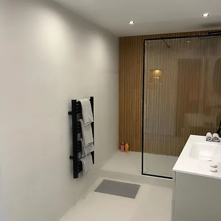 Luxueux Duplex Au Coeur Du Vieil Αντίμπ